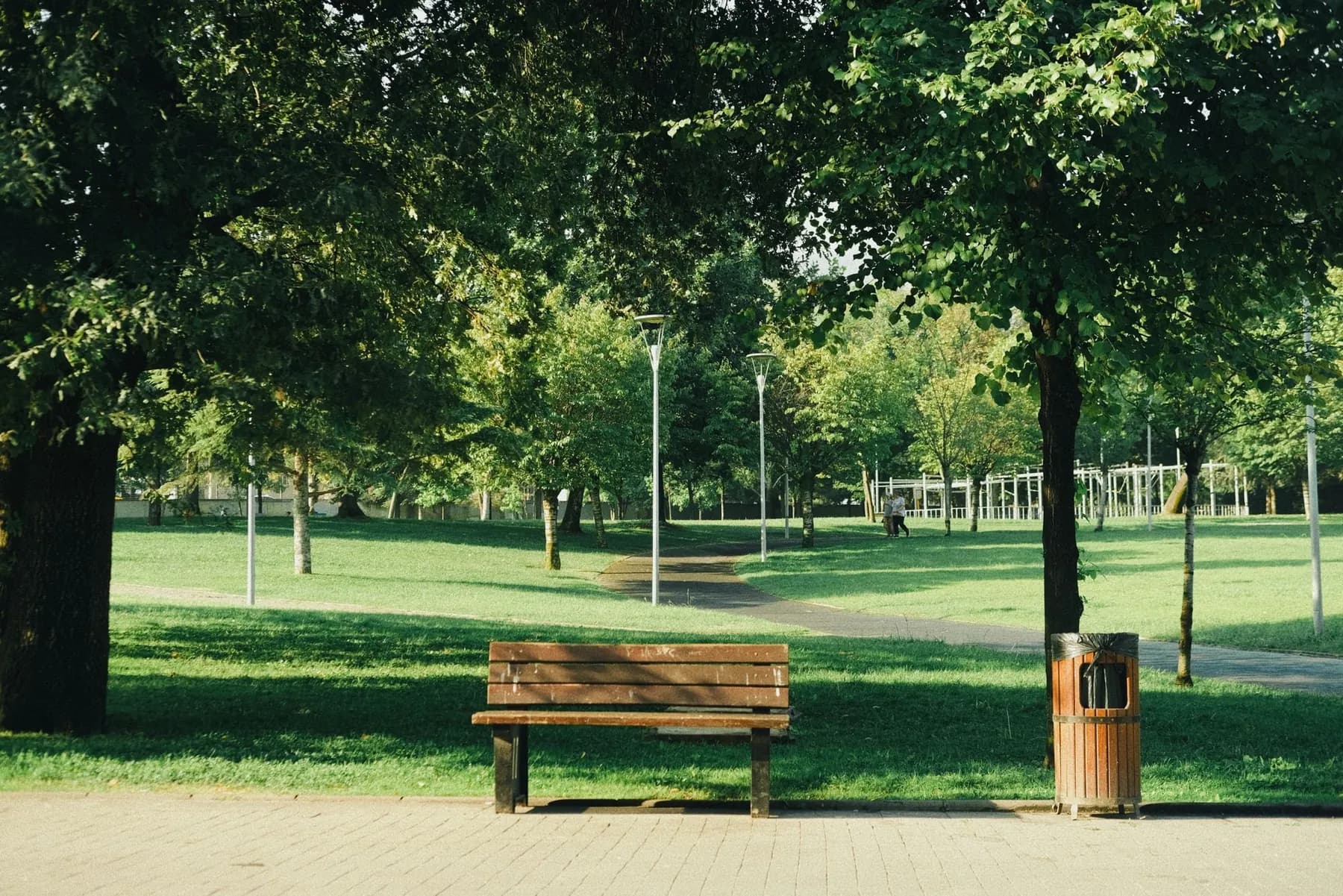 A bench and trees in a green park
